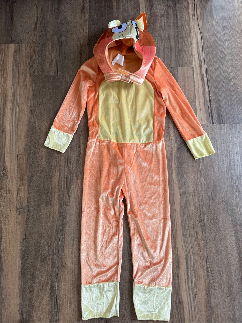 Kids Bluey Bingo two piece costume